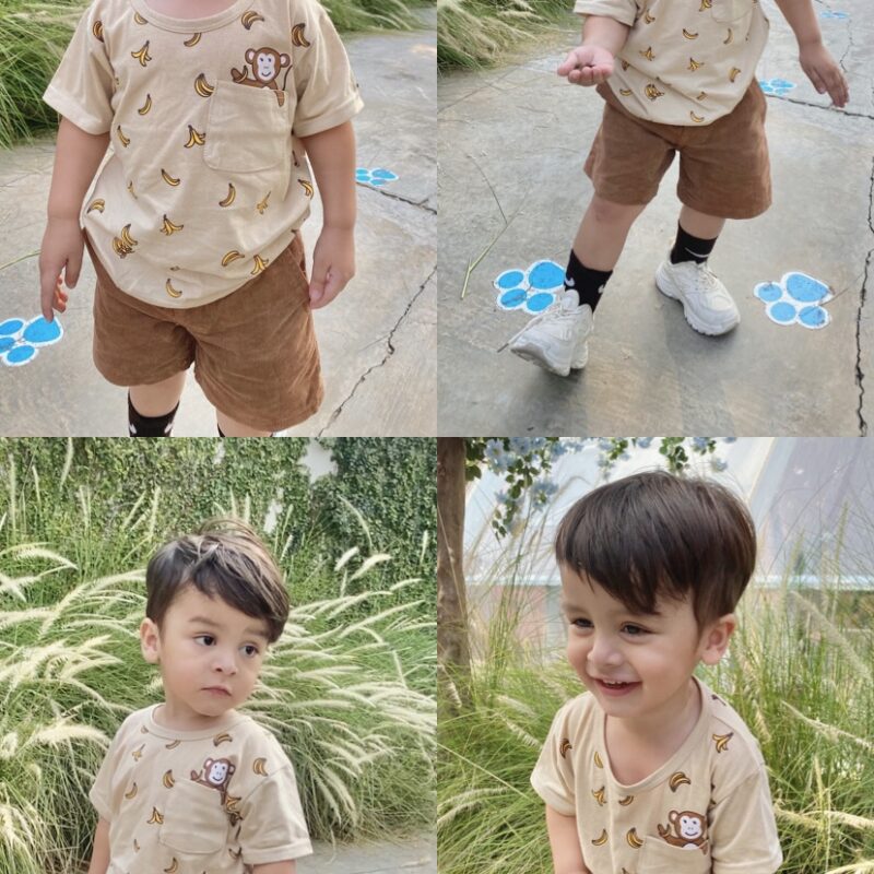 Atasan Pocket Monkey